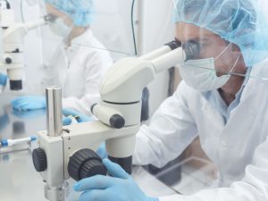 Two lab technicians or scientists working in laboratory looking thru microscopes