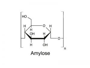 amylose